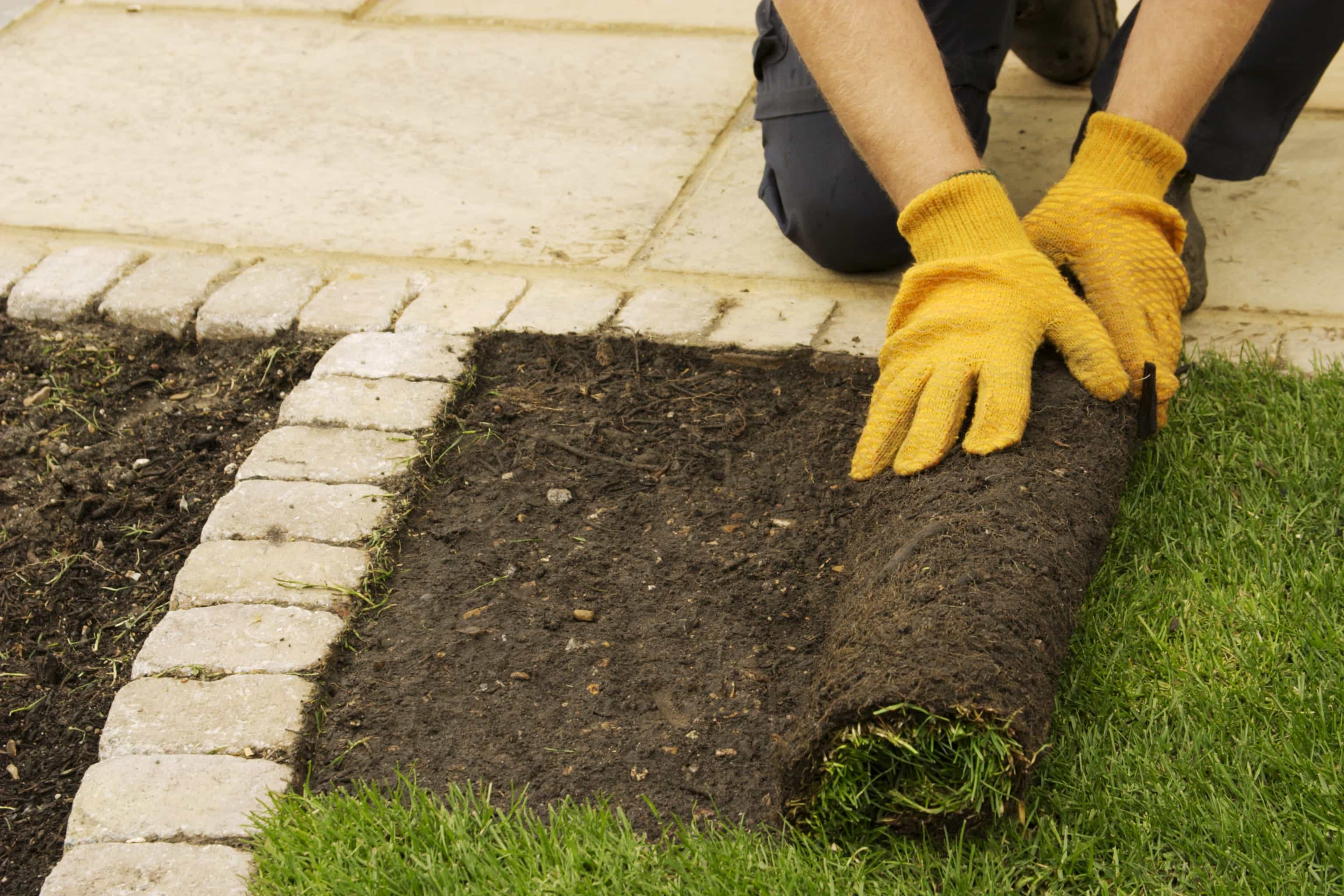 New turf N&P Garden Services New turf N&P Garden Services